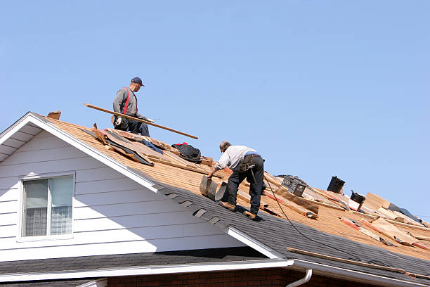 Best Solar Panel Roofing Installation  in Country Clu, FL